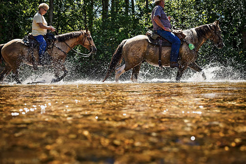 On summer weekends, incessant horse crossings can disturb riverbeds, causing silt to cloud the water.