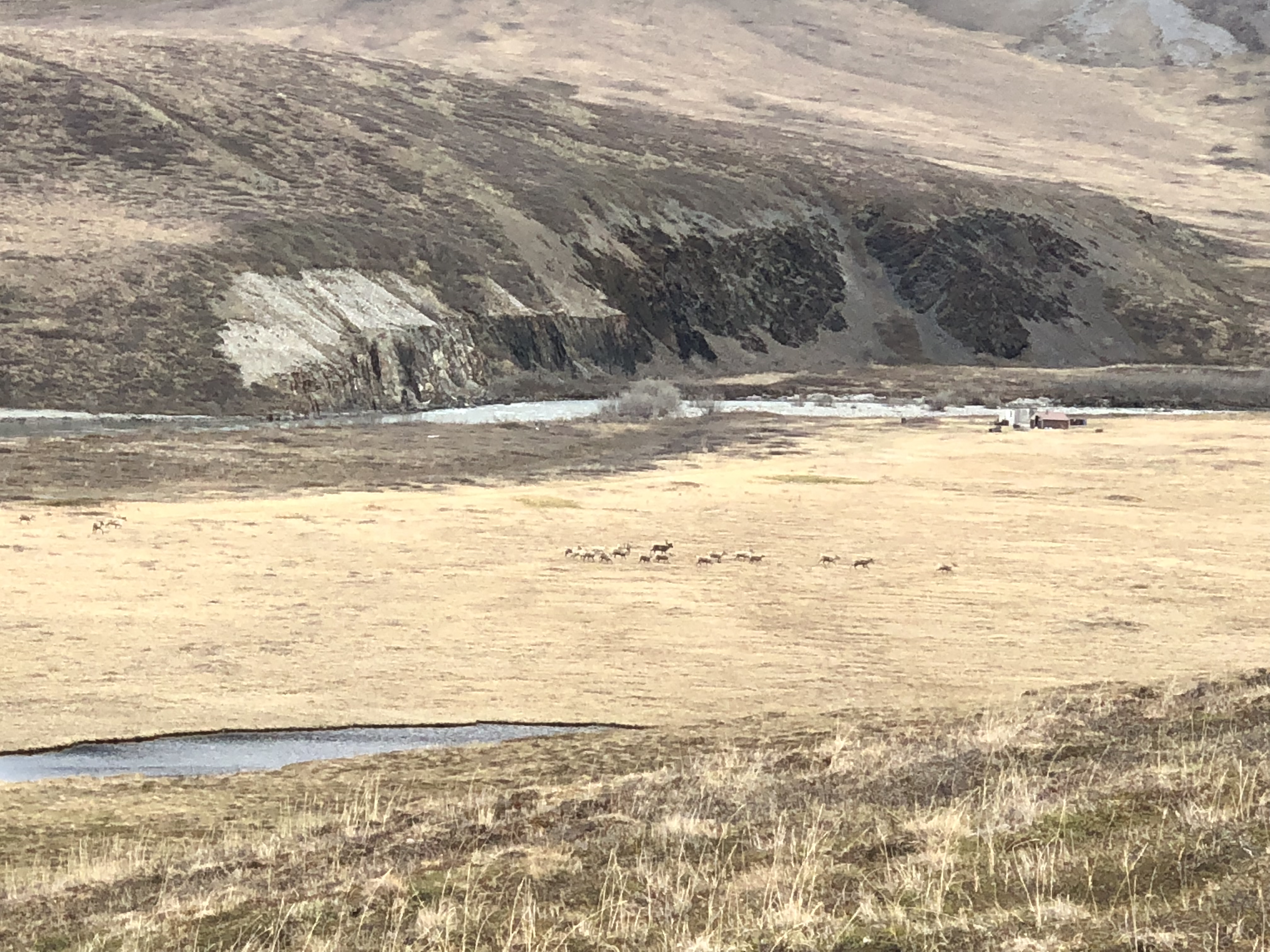 Arctic National Wildlife Refuge landscape
