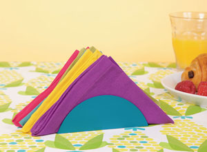 CD Napkin Holder
