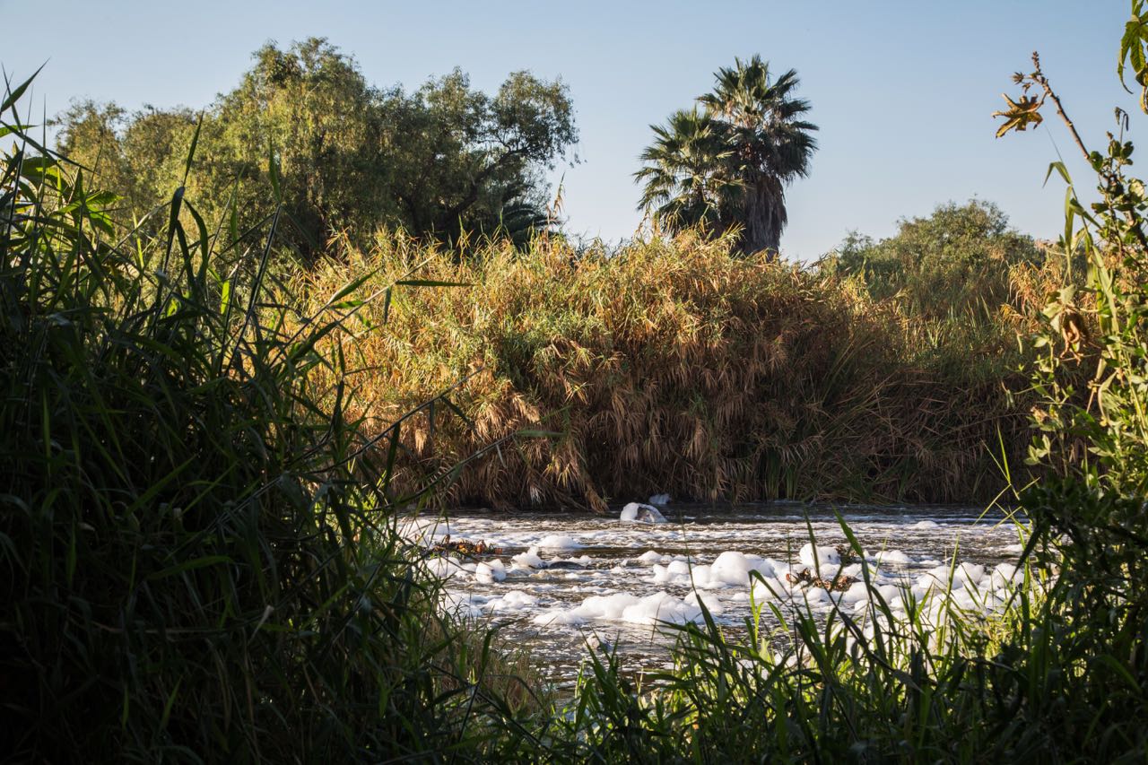 Rio Santiago cubierto de espuma por Seila Montes