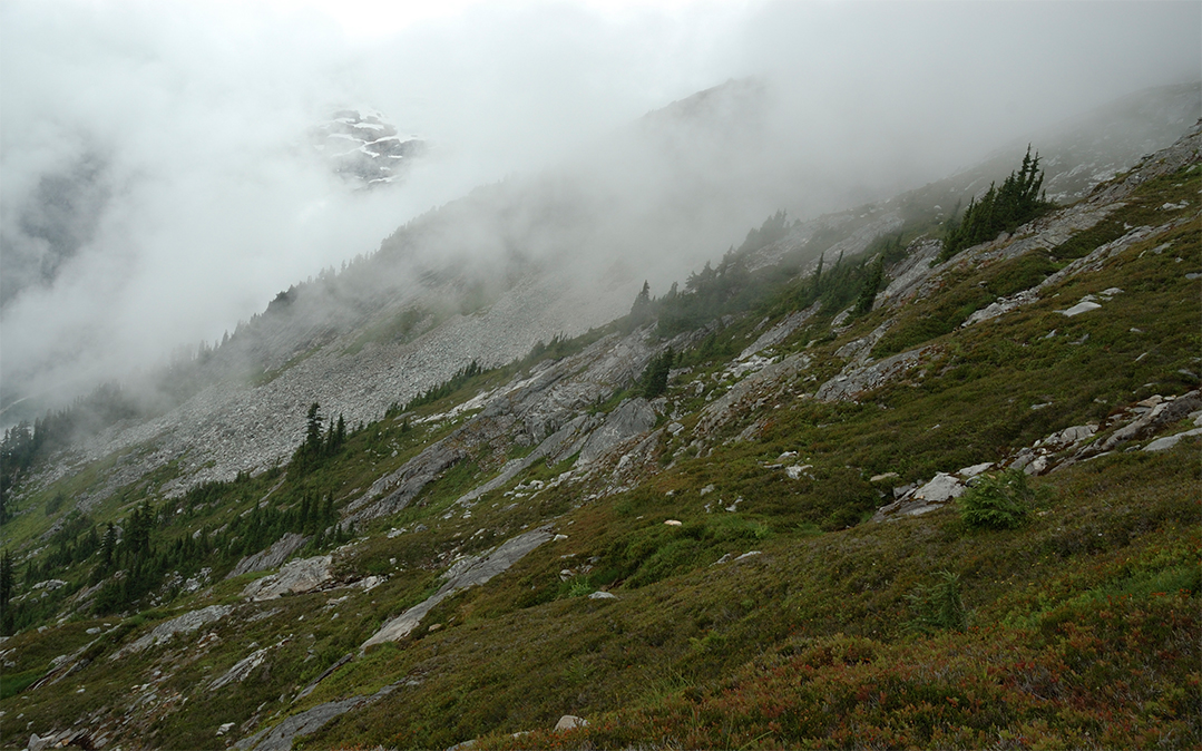 Cascades