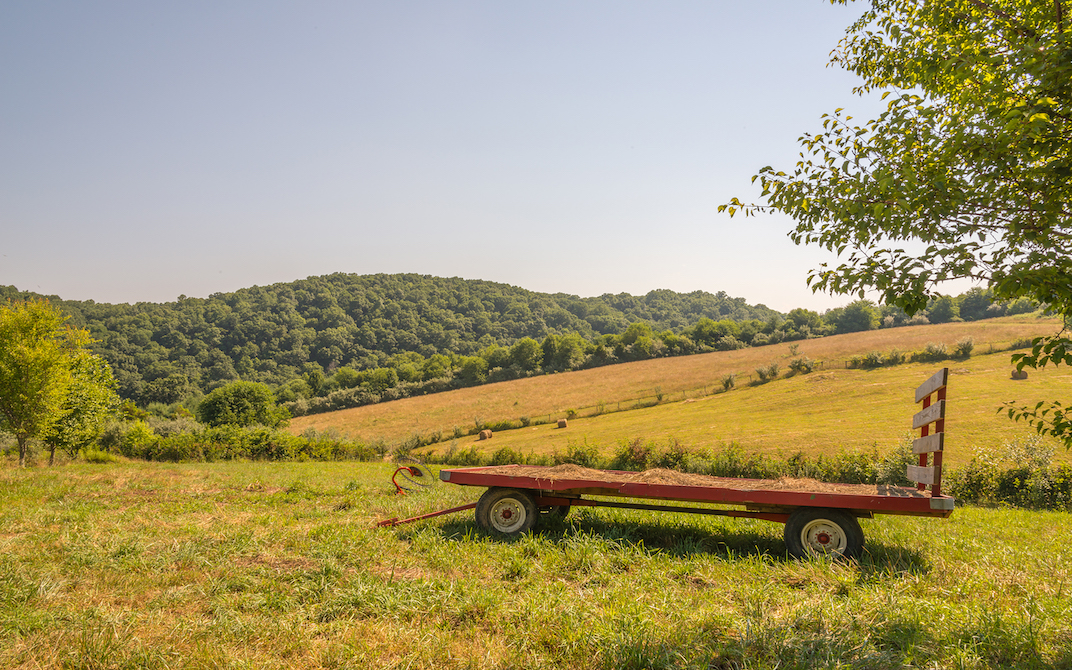 Appalachian Sustainable Development 