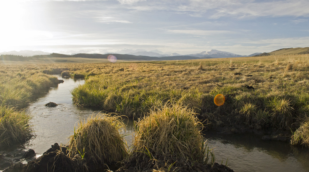 Colorado's high mountain prairie