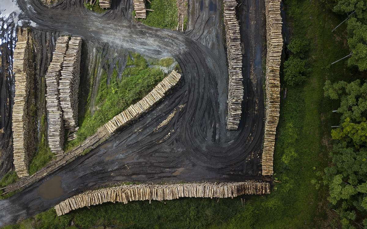 Ariel view of a timber operation in the  Chocó region, Ecuador. 