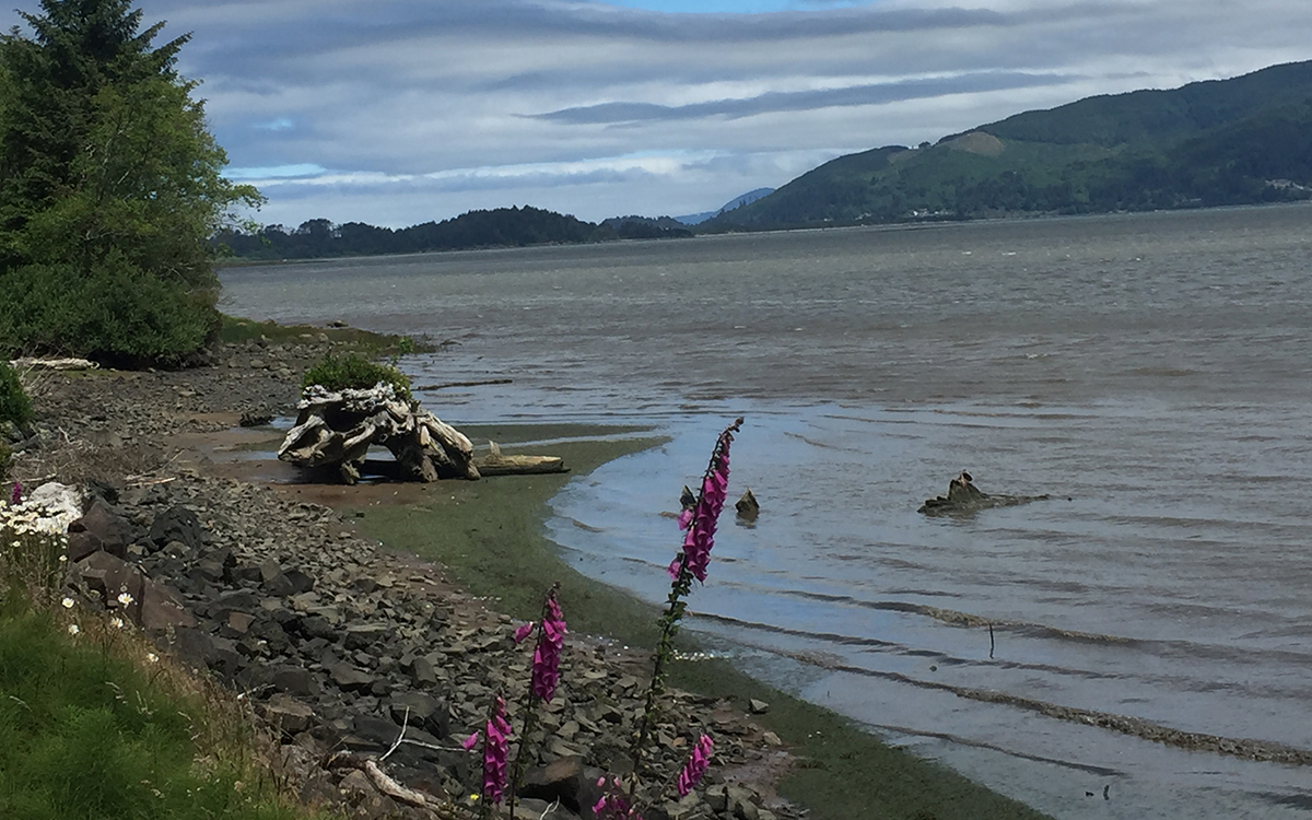 Oregon Coast