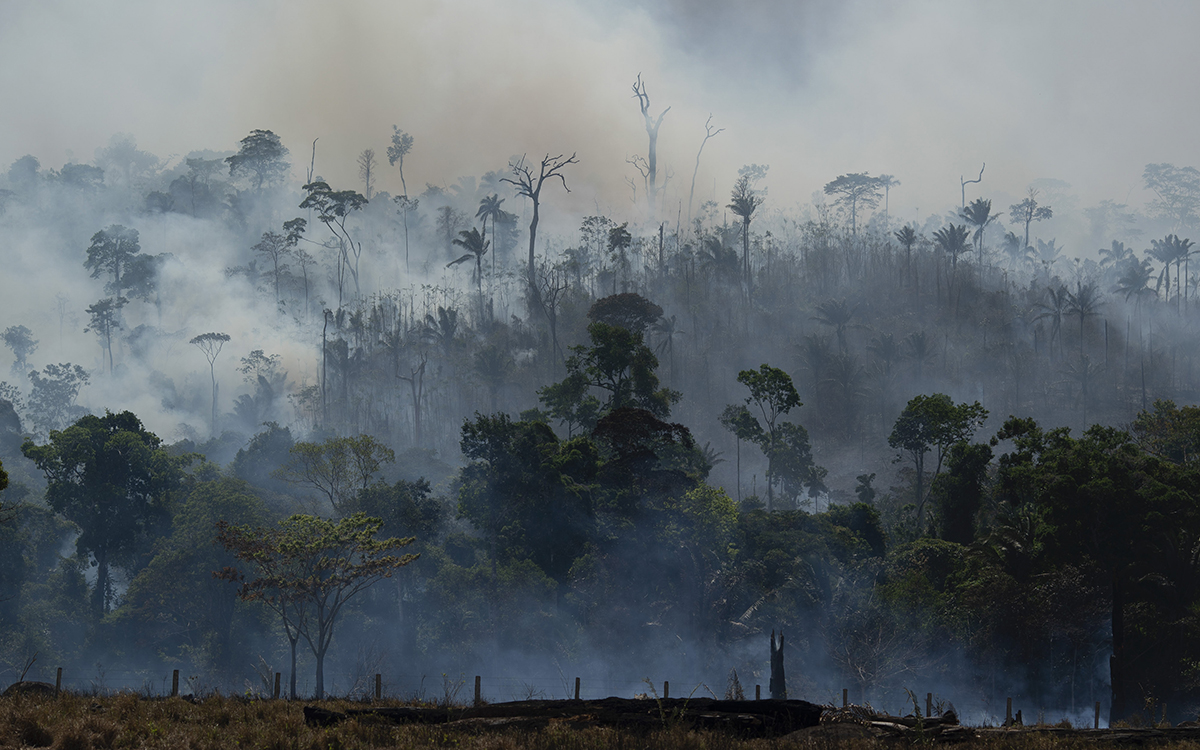 Amazon rainforest on fire