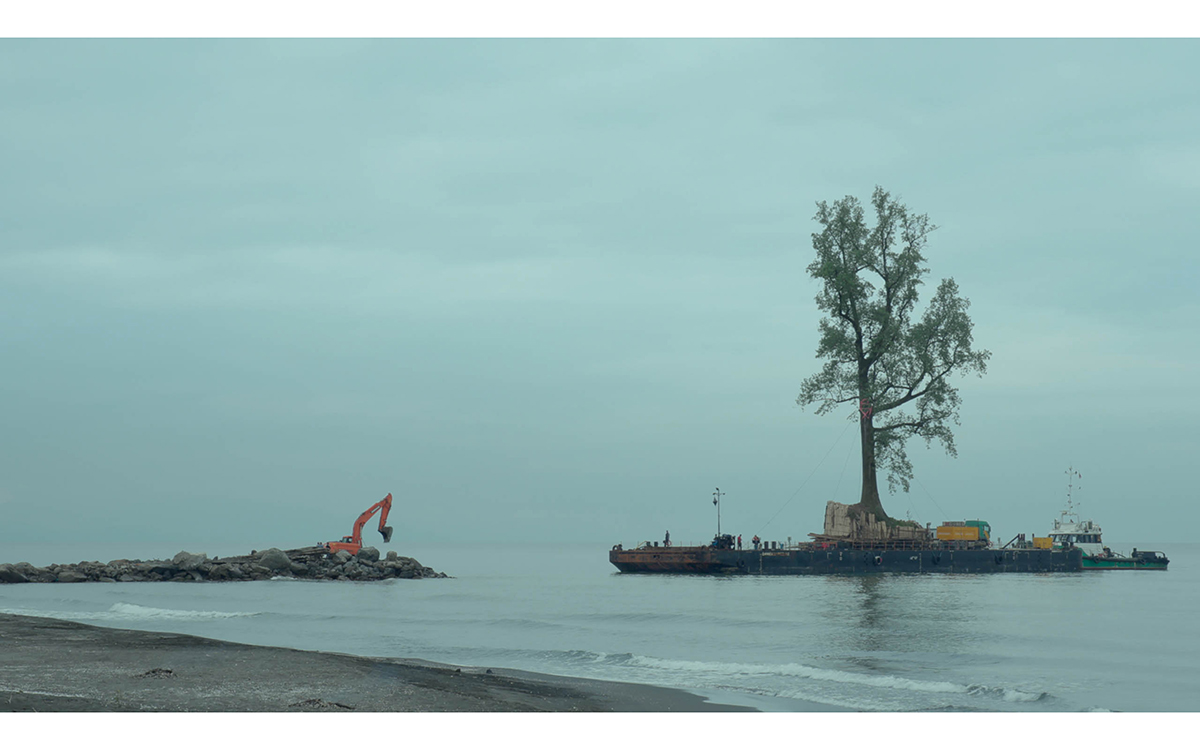 Very big tree on a barge sailing through a sea of calm blue water.