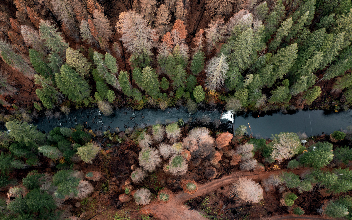 Aerial view of the Feather River and treetops.