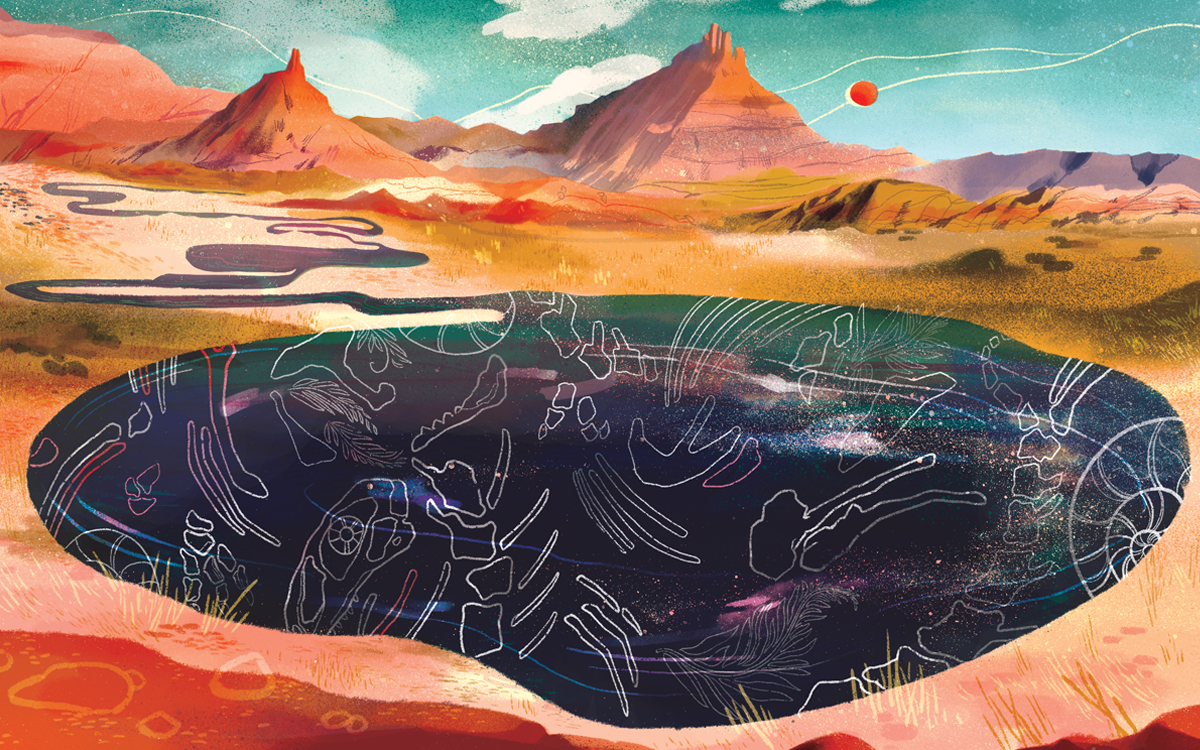 Illustration shows a Southwestern scene with fossils buried beneath the earth.