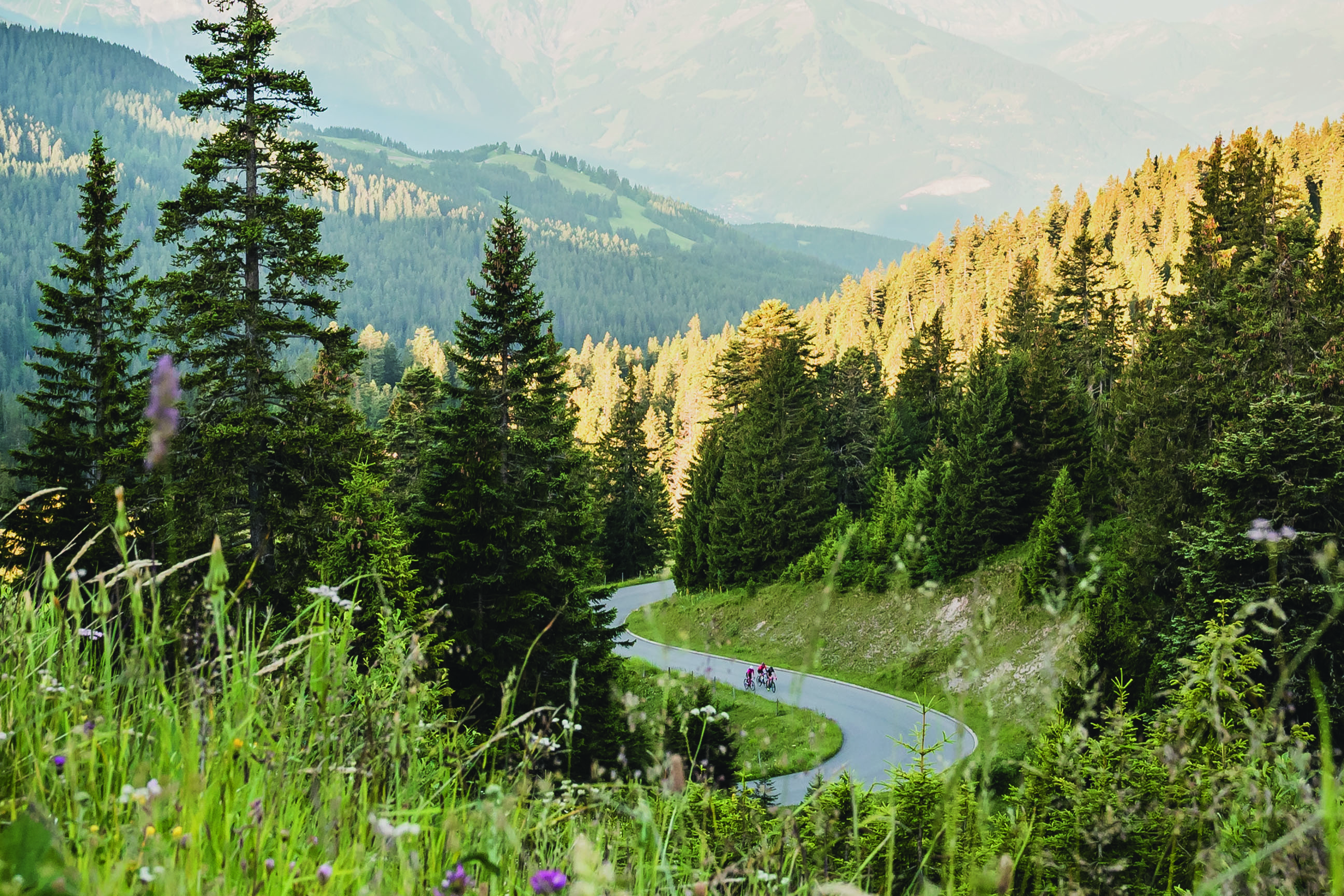 Ride the Alps