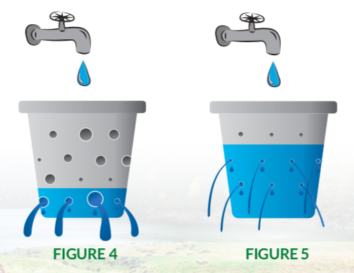How Forest Carbon Works: The Leaky Bucket Analogy