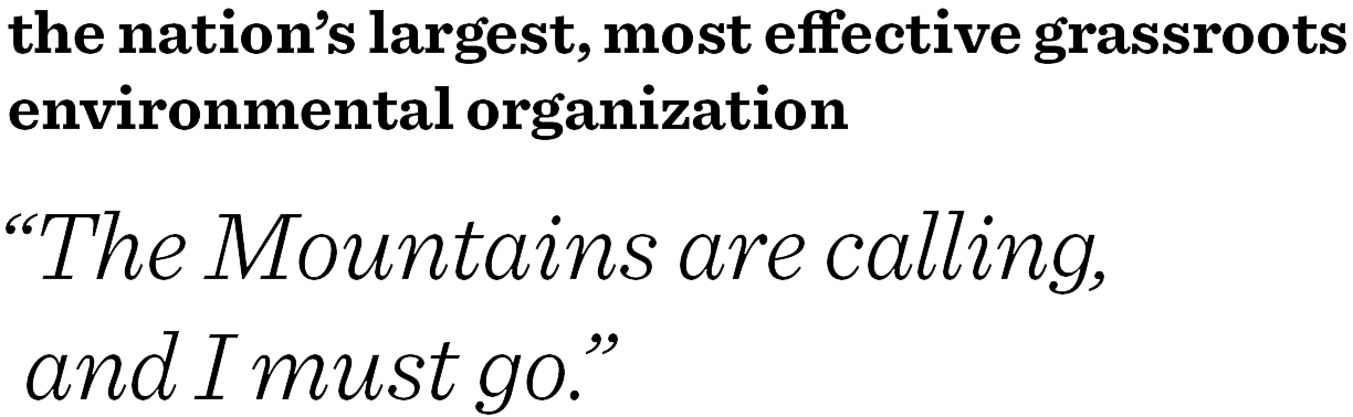 serif examples