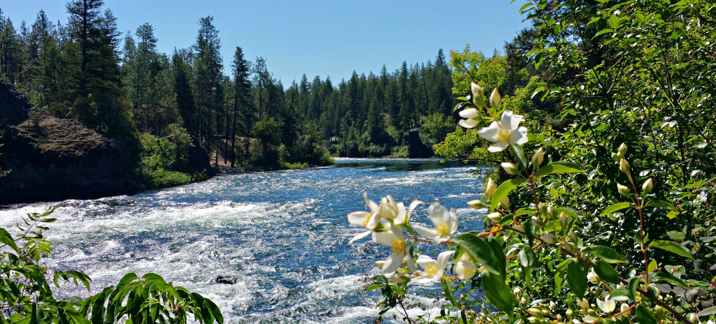 A landscape photo of the Columbia River in Spokane, Washington.