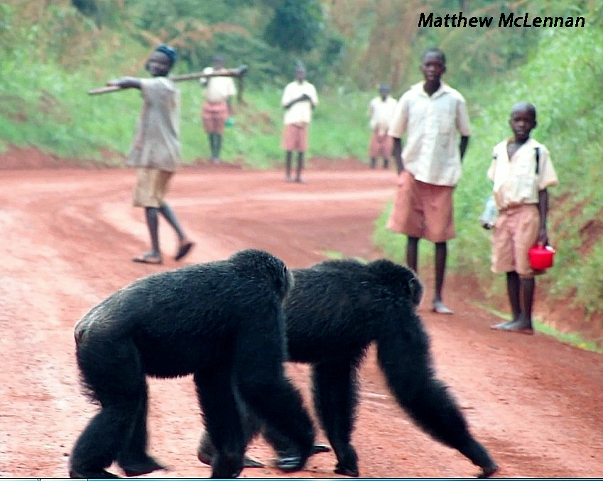 Sylvester and Keeta crossing the main road
