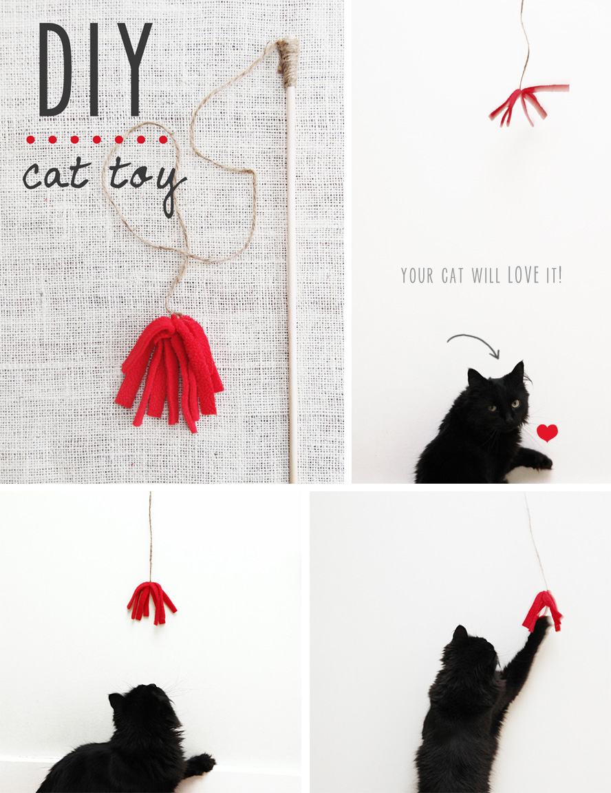 Tuttle DIY Cat Toy