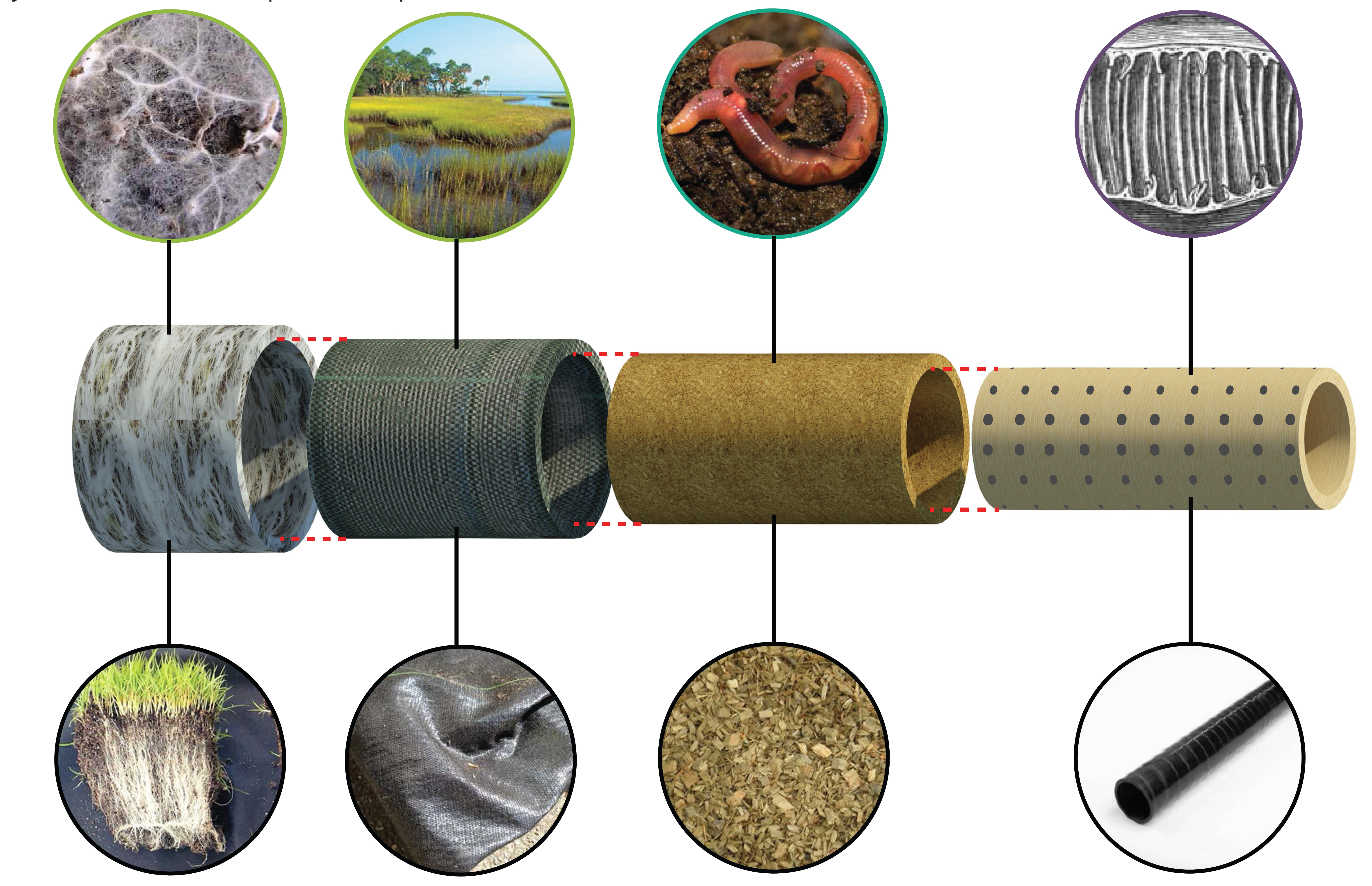 Living Filtration