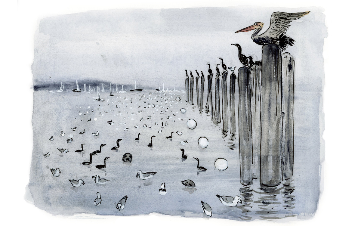 Watercolor on birds standing on pilings out in the water, scanning for fish. 