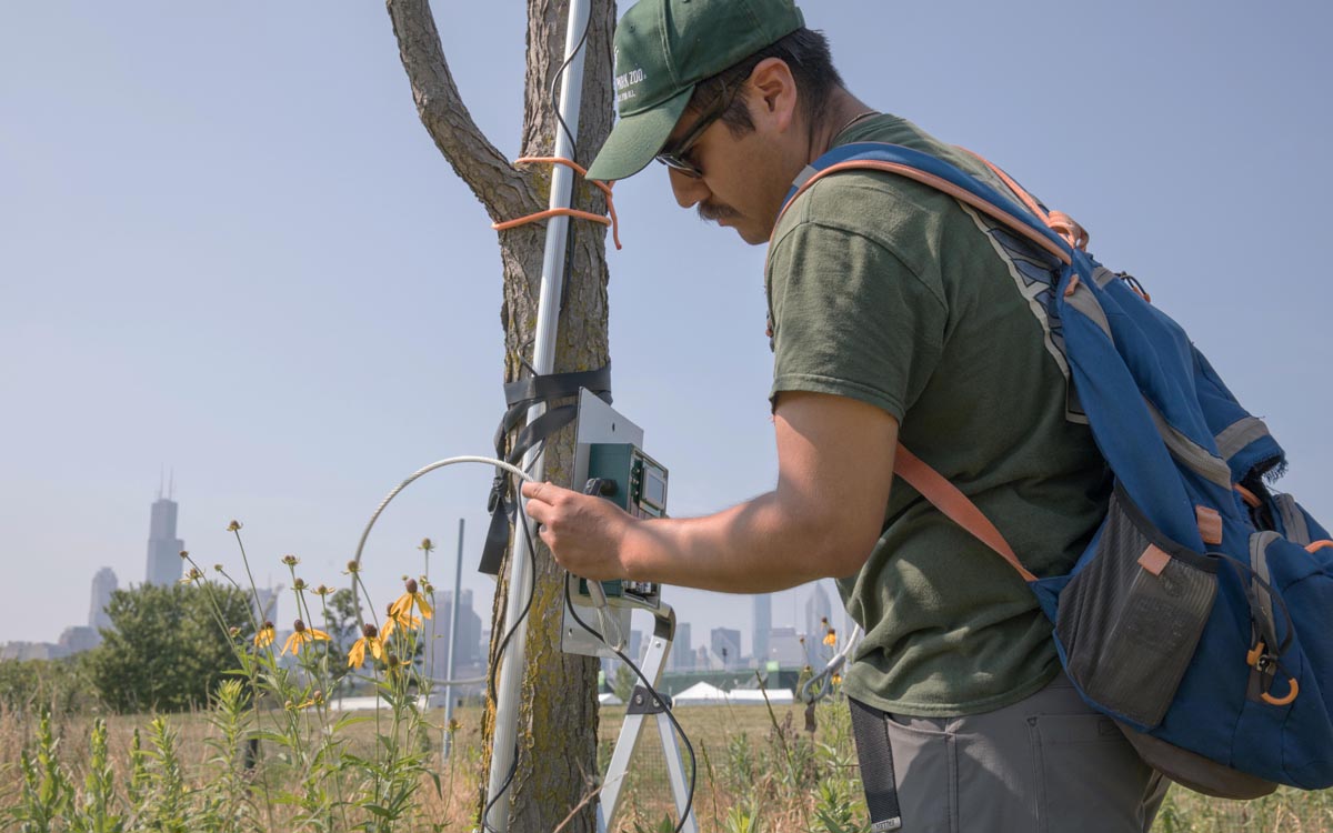Person inspecting acoustic monitoring equipment for bats.