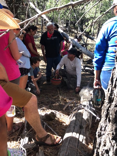 Foraging at bears ears