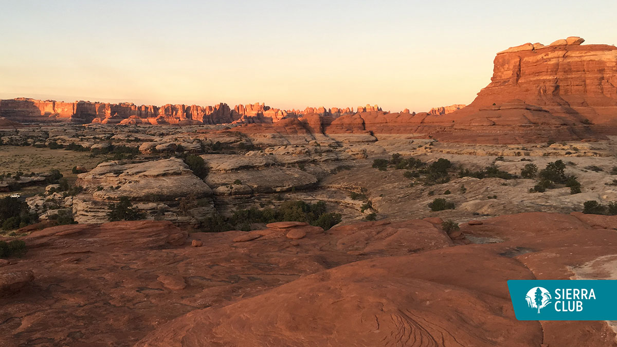 Download our desert background.