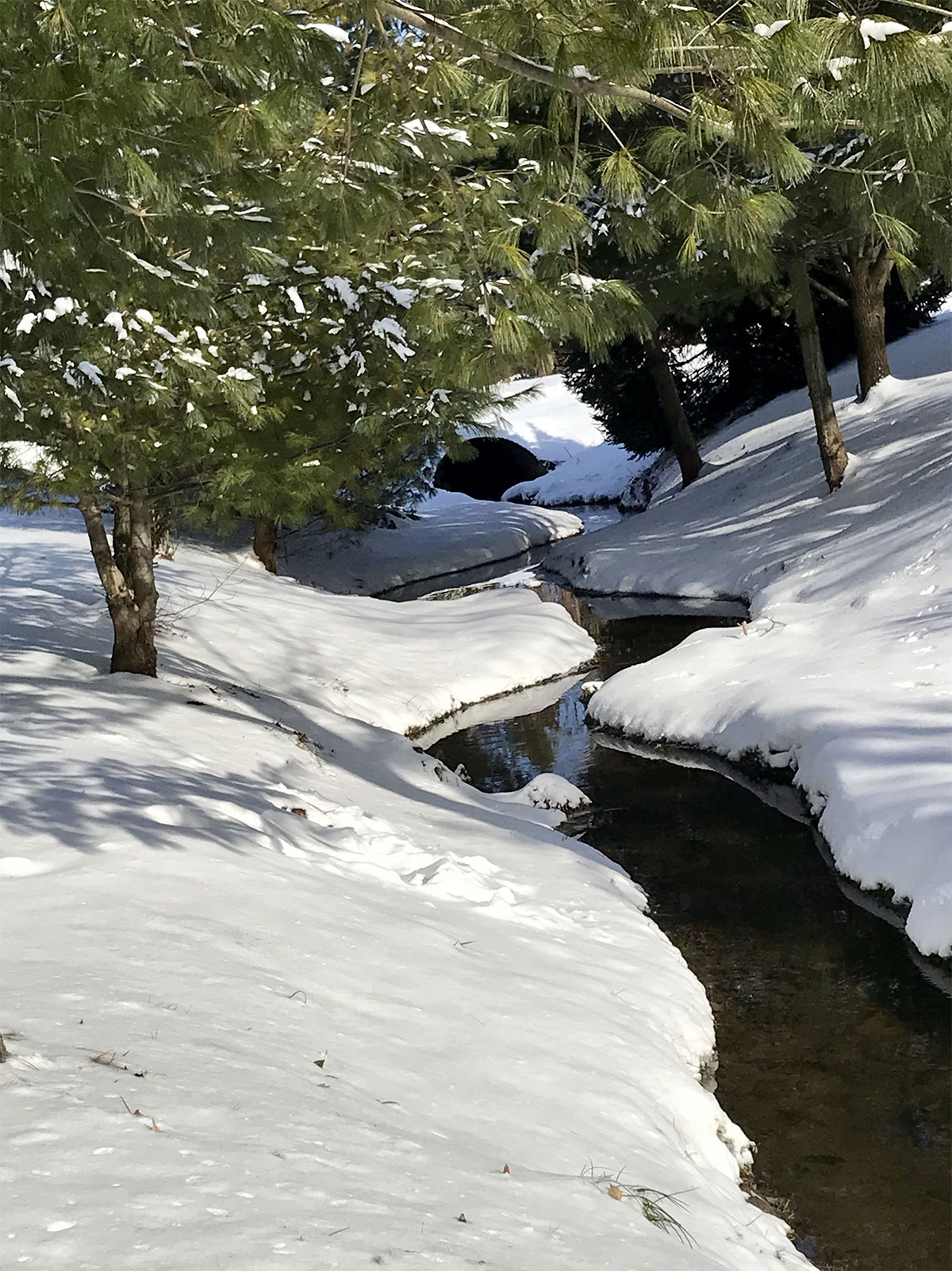 Sherwood Forest, West Lafayette IN