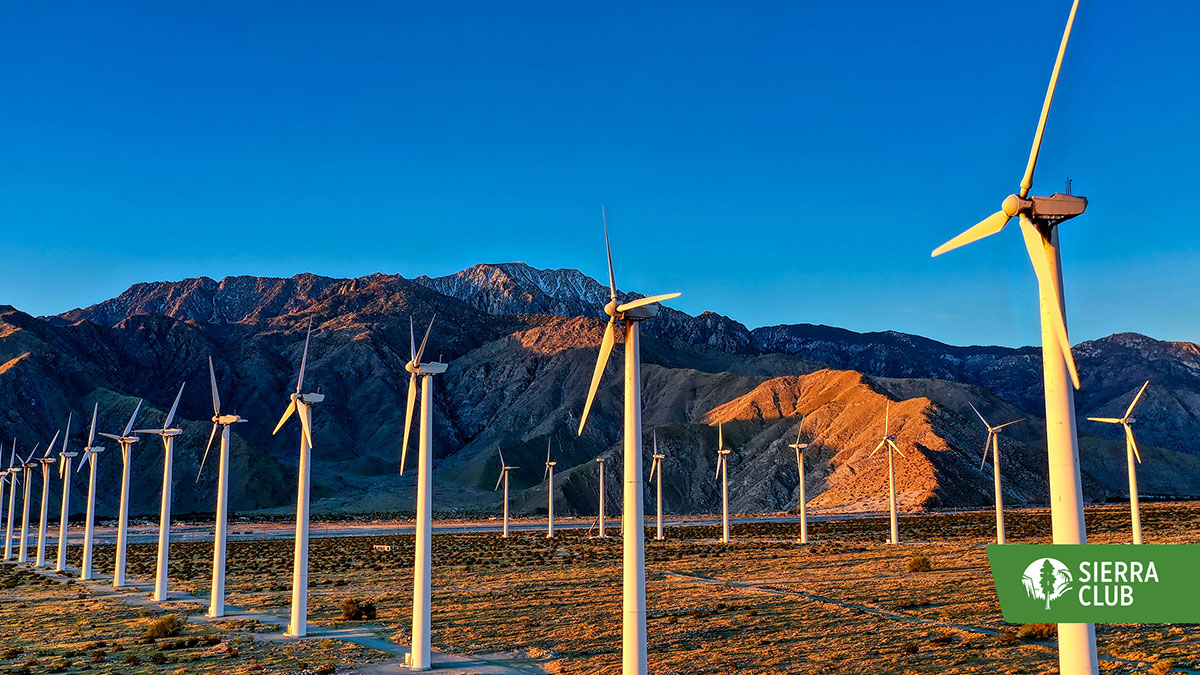 Zoom Background Turbines
