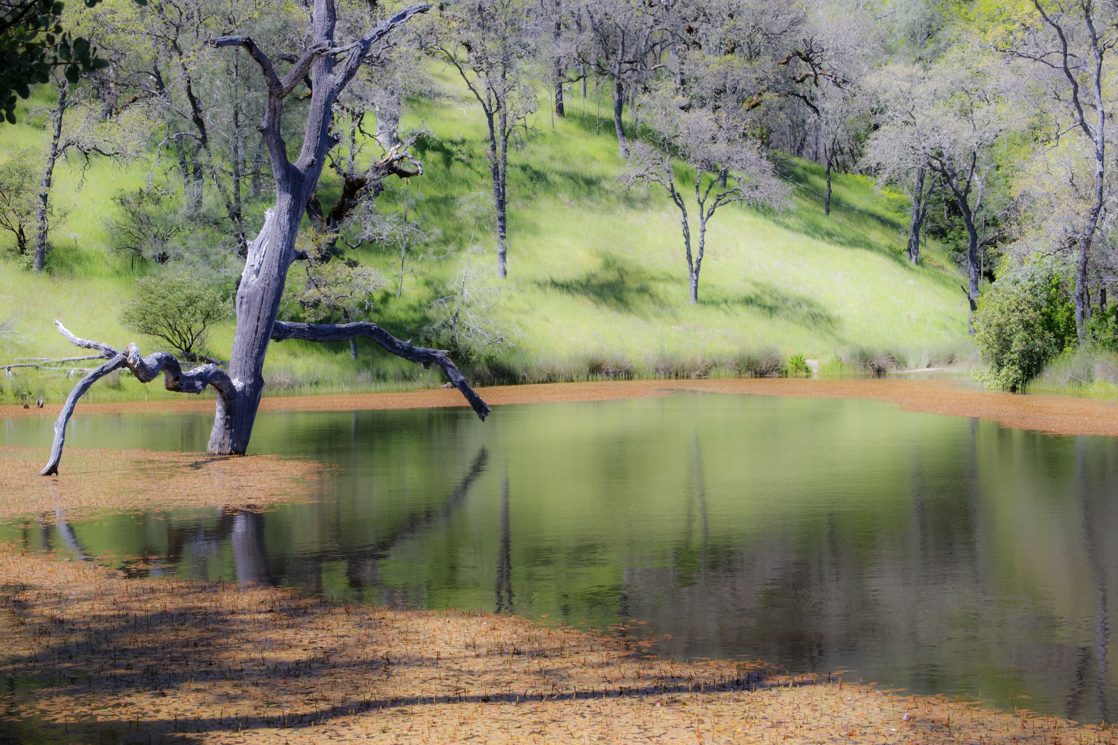 Coe State Park