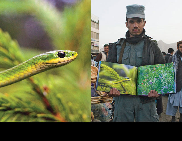 A snake in Acadia National Park, Maine, and wildflowers in Glacier National Park, Montana, shown by Aliulla, 22, a Kabul policeman. Photo by Ian Shive (left).