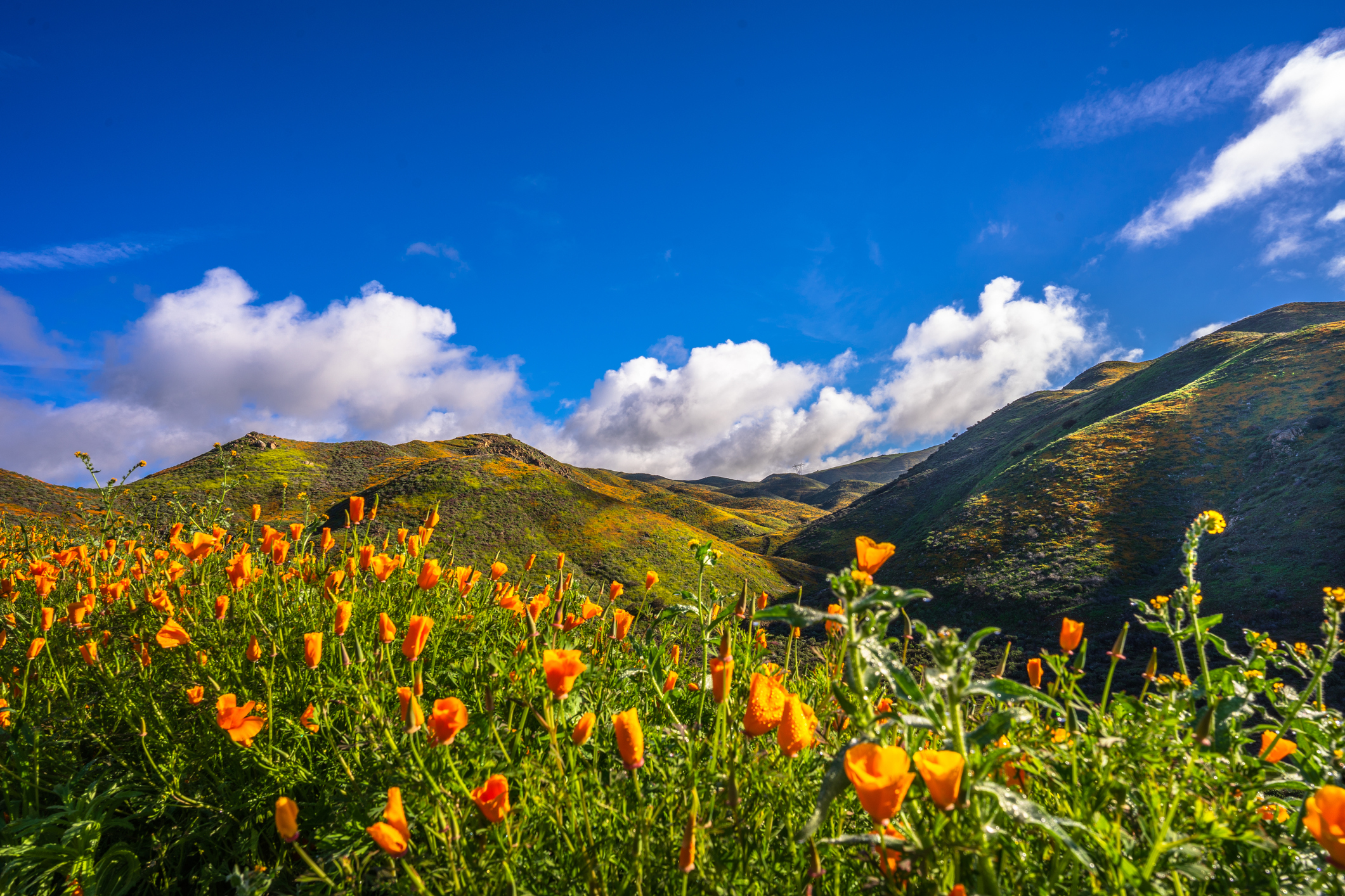 Lake Elsinore