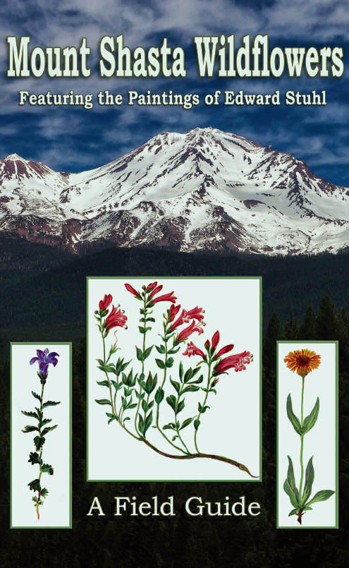 Mount Shasta Wildflowers