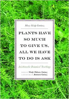 Plants Have So Much to Give Us, All We Have to do is Ask, by Mary Silsip Geniusz