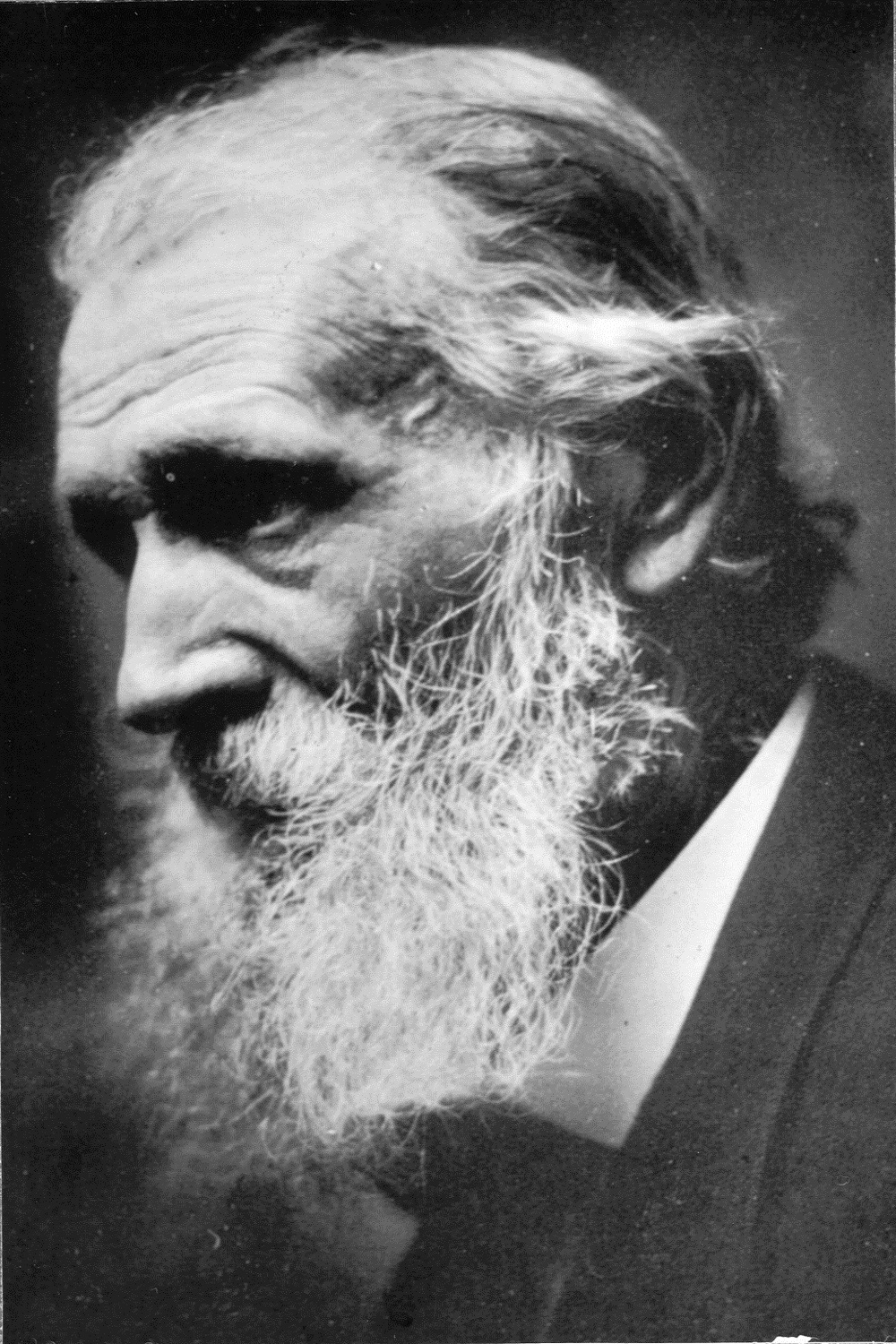 John Muir