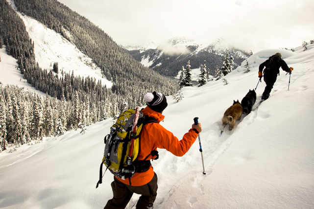 Moore brings his Belgian shepherds everywhere he goes. They get second dibs on his descents and help warm tents and cabins on overnight expeditions.