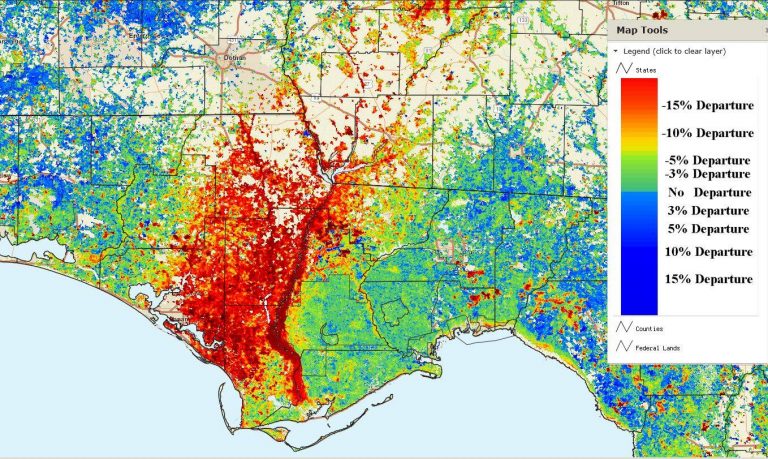 Tree Canopy loss after Hurricane Michael
