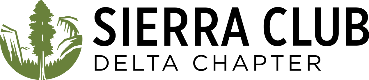 Delta Chapter chapter logo