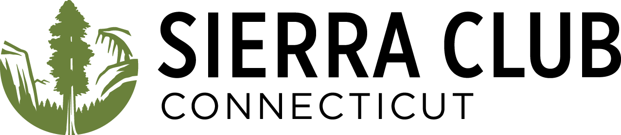 connecticut Chapter logo