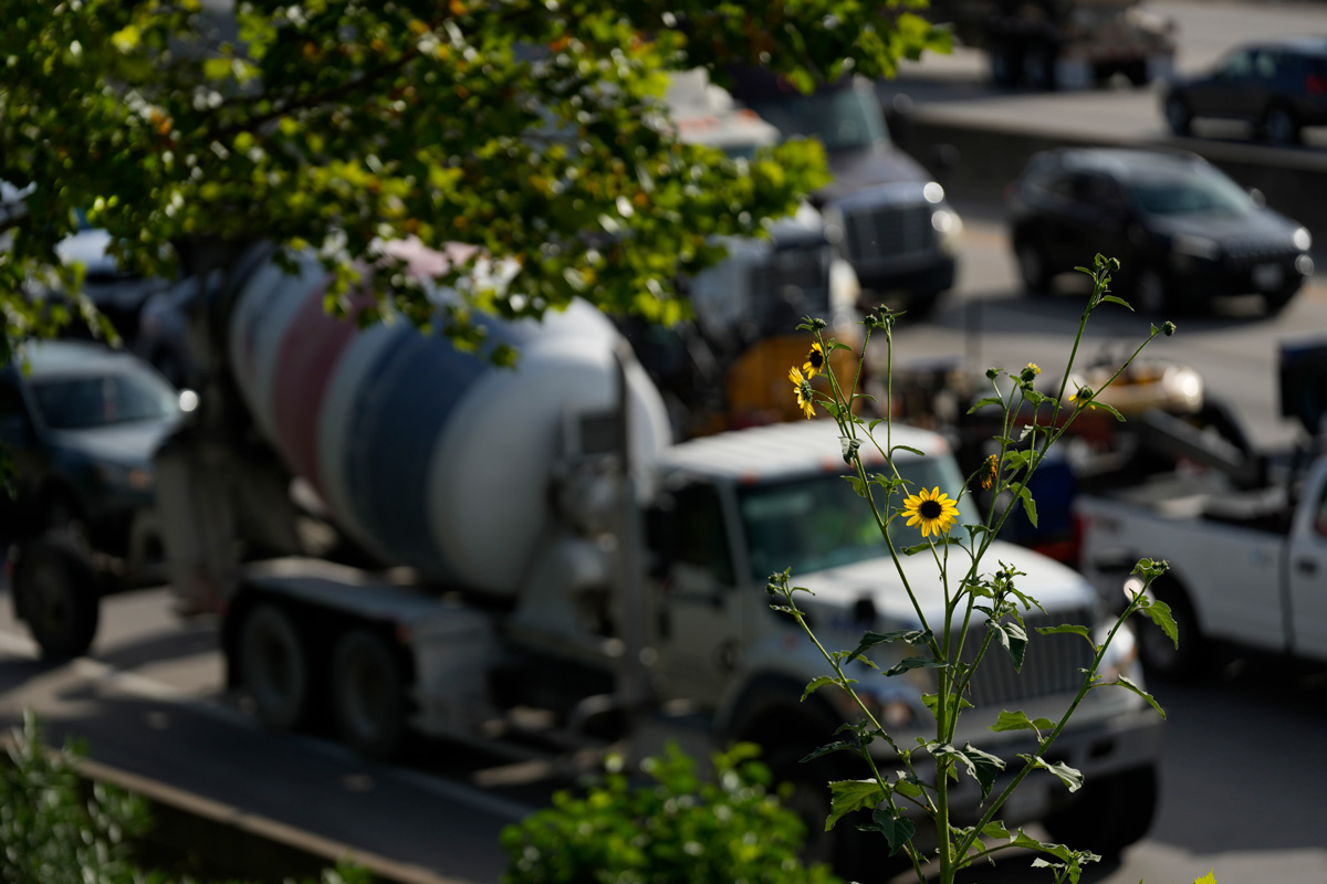 Cement truck on crowded highway seen through weeds and chain link fence.