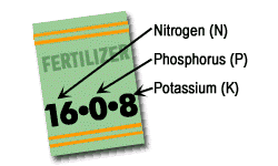 Phosphorus