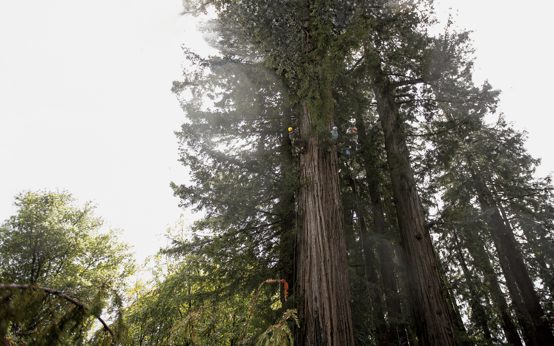 Aloft | Sierra Club