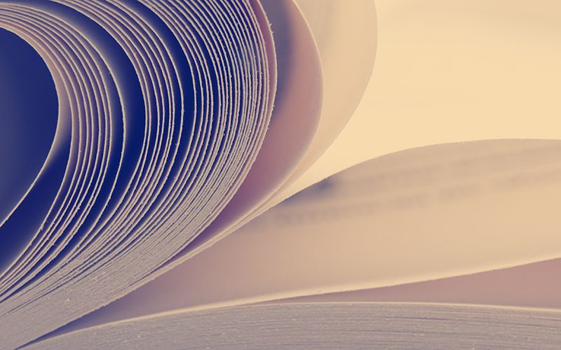 Meet 13 Asian and Asian Diasporic Nature and Environment Writers