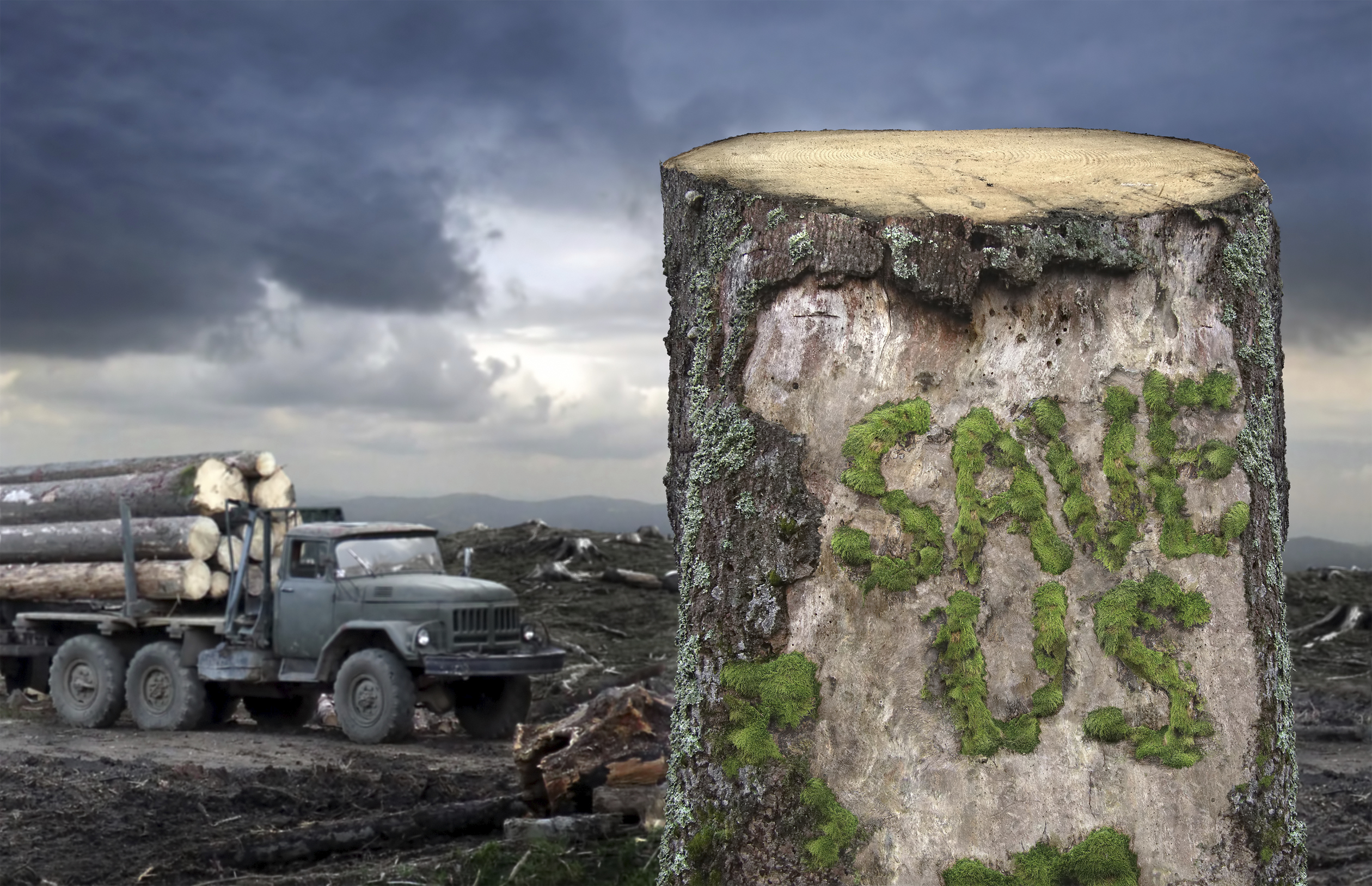 5 Environmental Stories You Don t Want To Miss Sierra Club