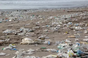 garbage-beach pixabay.com