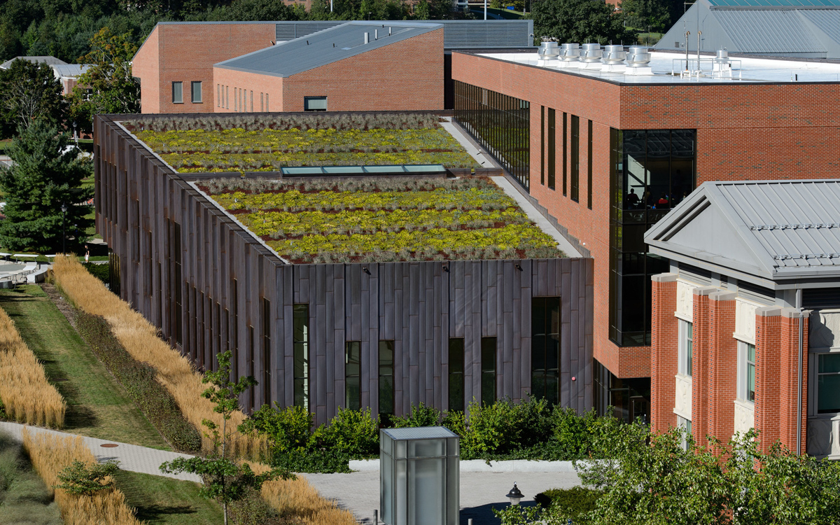 A low gray building has yellow and green plants on its roof and four solar panels. Behind it are several brick buildings.