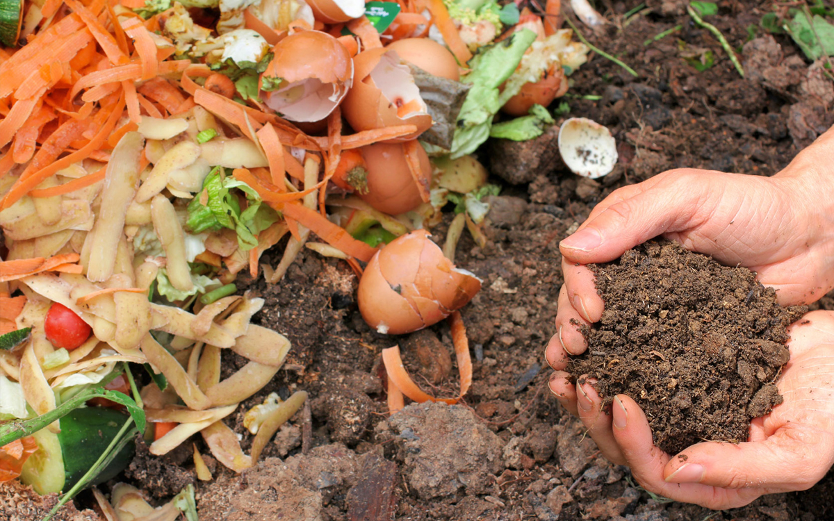 A close-up of hands cupping dirt next to food scraps (carrot, lettuce, potato, eggshells).
