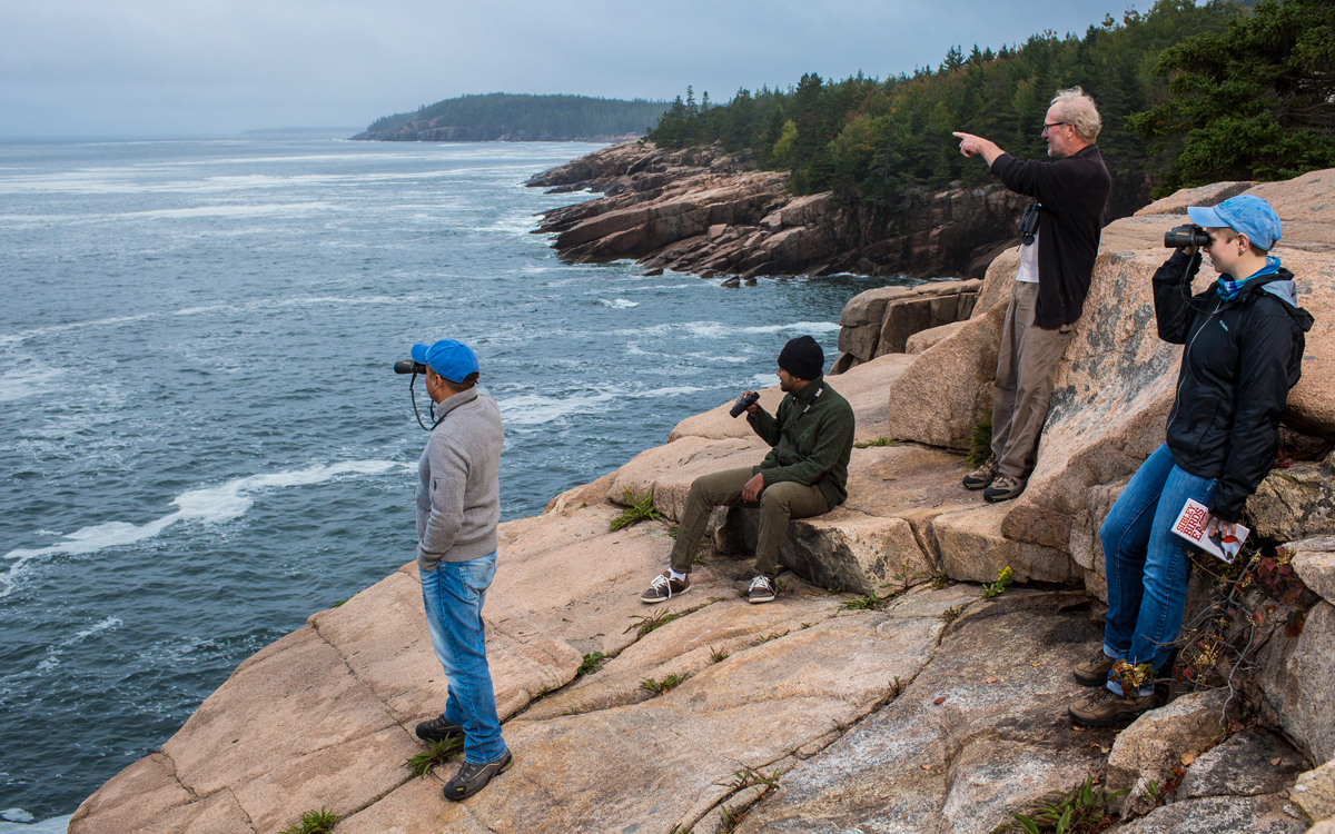 Four men with binoculars look out at the ocean from a rocky cliff. One is holding a book called Sibley Birds East.