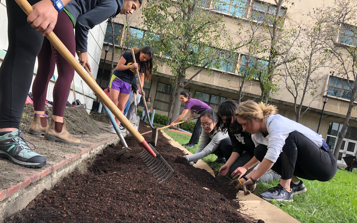 Students with rakes and shovels work the soil in a long strip along a building.