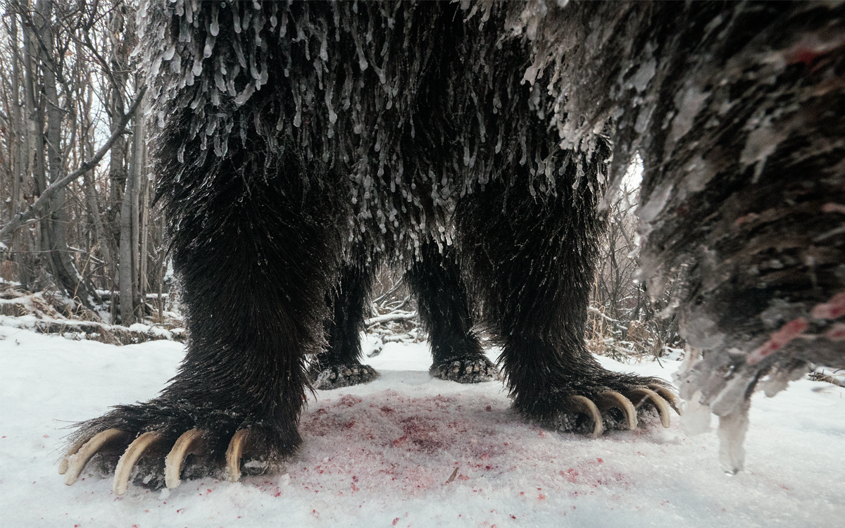 Close-up of the lower half of a bear with enormous beige claws. There's blood on the snow beneath the bear.
